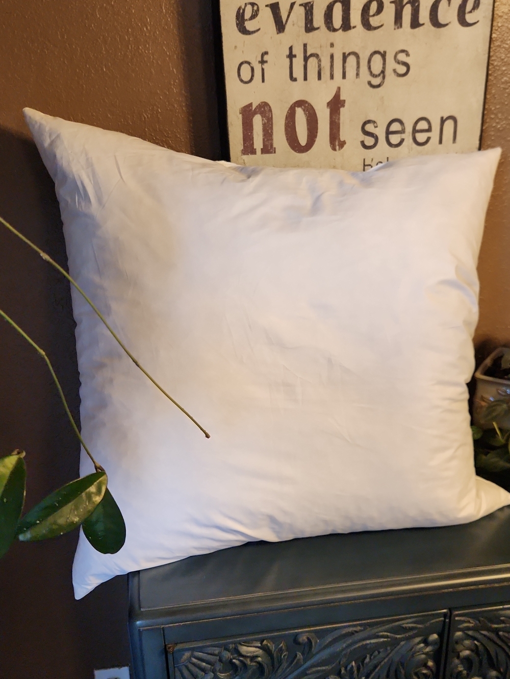 Quince Euro Feather Pillow Insert NWOT